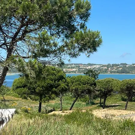 Olive - Design Retreat By The Lagoon Villa Vau (Obidos)